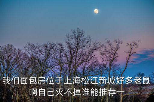 上海滅鼠公司排名，我們面包房位于上海松江新城好多老鼠啊自己滅不掉誰能推薦一