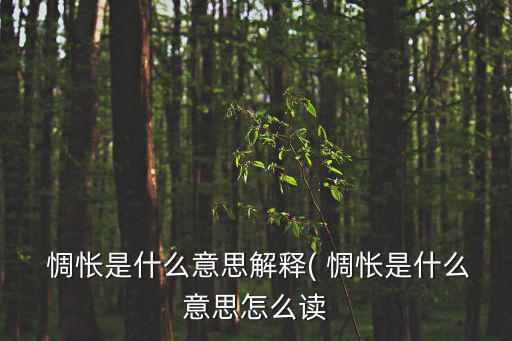 惆悵的意思是什么,關于惆悵這些問題