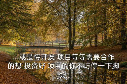...或是待開發(fā) 項目等等需要合作的想 投資好 項目的你不訪停一下腳步...