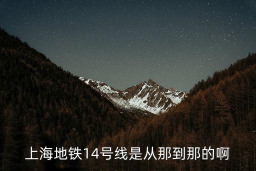 上海地鐵14號線是從那到那的啊