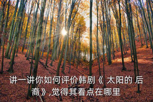 講一講你如何評價韓劇《 太陽的 后裔》,覺得其看點在哪里