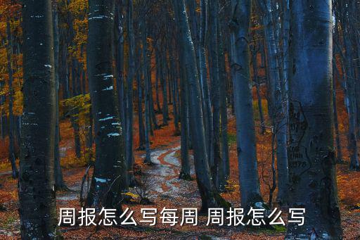 個人工作周報怎么寫,職場人士的心聲