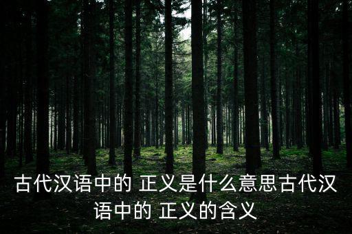 正義的意思,《十三經注疏》:正義岳在唐代被稱為反義