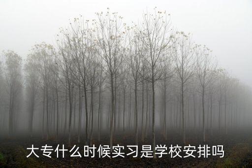 大專什么時候實習是學校安排嗎