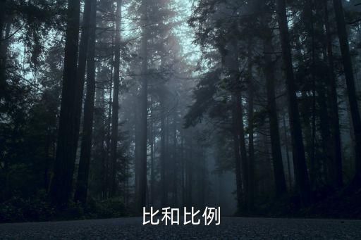 比和比例