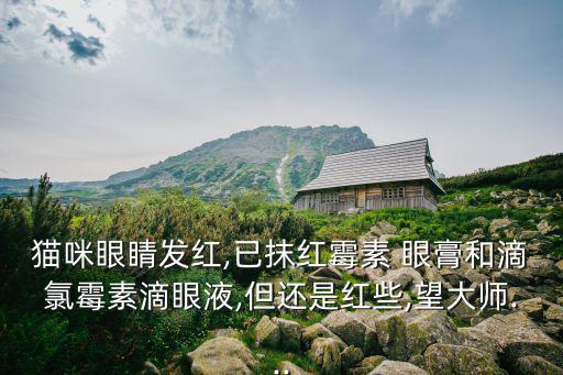 貓咪眼睛發紅,已抹紅霉素 眼膏和滴氯霉素滴眼液,但還是紅些,望大師...