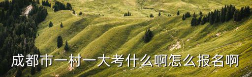 成都市一村一大考什么啊怎么報名啊