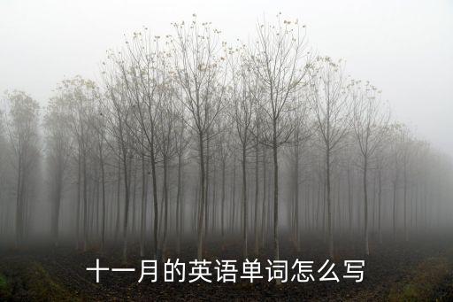 十一月的英語單詞怎么寫