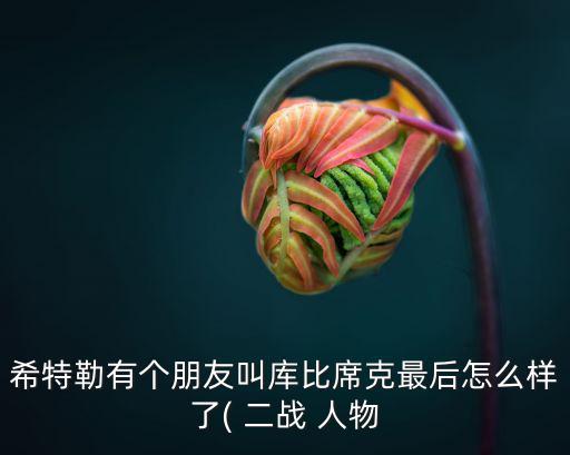 希特勒有個(gè)朋友叫庫比席克最后怎么樣了( 二戰(zhàn) 人物
