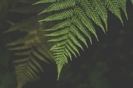 按兵,按兵不動等于沒有動武器