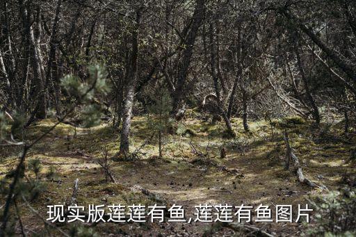 現實版蓮蓮有魚,蓮蓮有魚圖片
