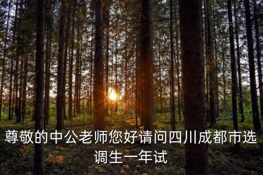 成都市編辦何主任，尊敬的中公老師您好請問四川成都市選調生一年試
