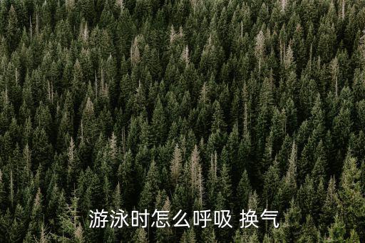 游泳怎么換氣,正確姿勢和方法指導你游泳時如何換氣?