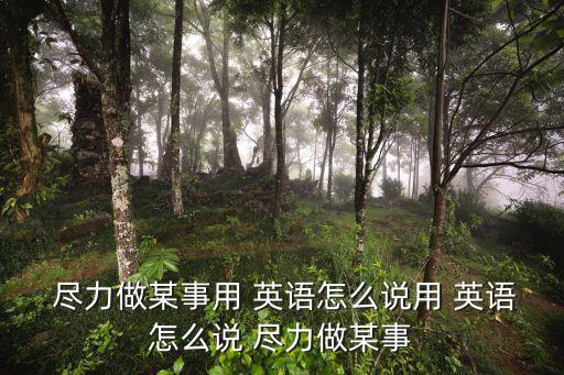  盡力做某事用 英語怎么說用 英語怎么說 盡力做某事