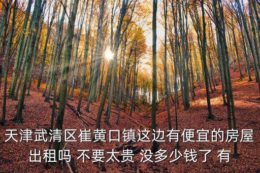 天津武清區(qū)崔黃口鎮(zhèn)這邊有便宜的房屋出租嗎 不要太貴 沒多少錢了 有