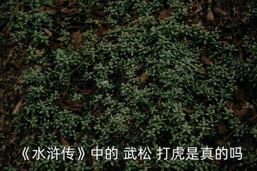 武松打虎是真的嗎,武松打虎只為突出自身勇敢