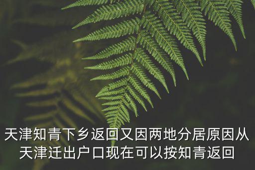 天津知青下鄉(xiāng)返回又因兩地分居原因從天津遷出戶口現(xiàn)在可以按知青返回
