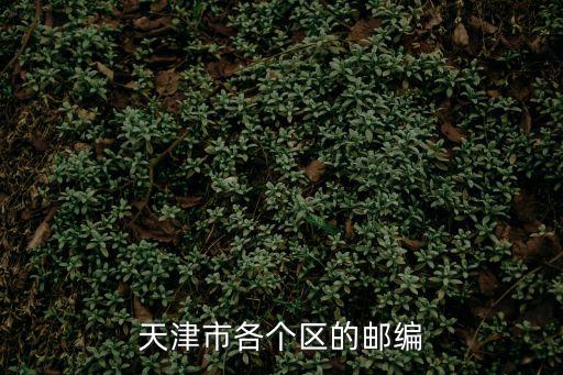 天津市各個(gè)區(qū)的郵編