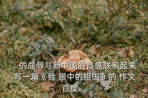 我眼中的中國作文,為中國加油!第二集