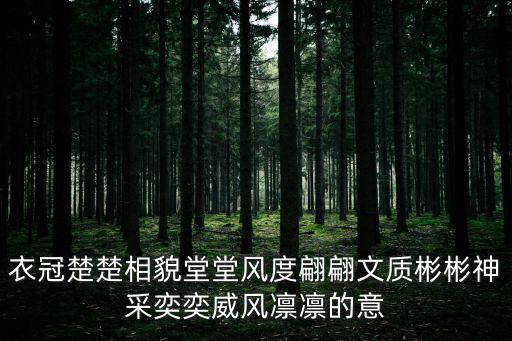 衣冠楚楚相貌堂堂風度翩翩文質彬彬神采奕奕威風凜凜的意