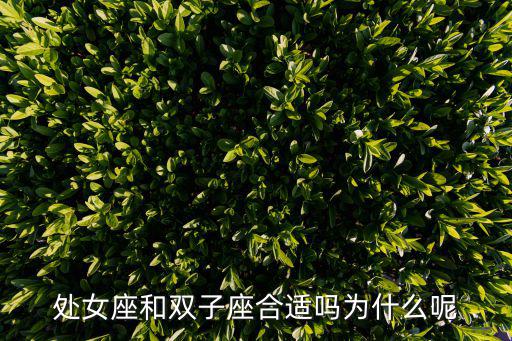 處女座和雙子座合適嗎為什么呢