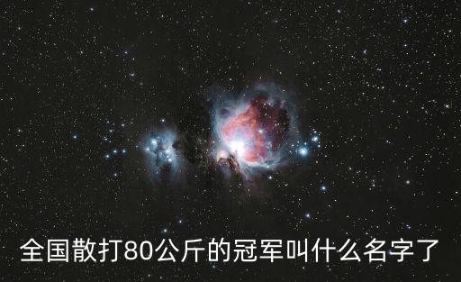 全國散打80公斤的冠軍叫什么名字了