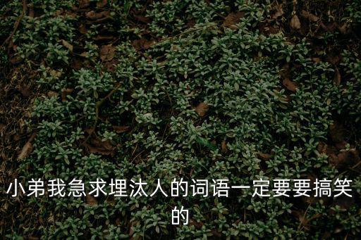 小弟我急求埋汰人的詞語一定要要搞笑的