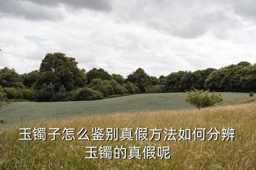  玉鐲子怎么鑒別真假方法如何分辨 玉鐲的真假呢