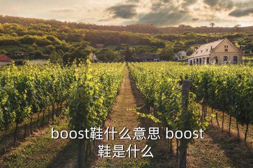  boost鞋什么意思 boost鞋是什么