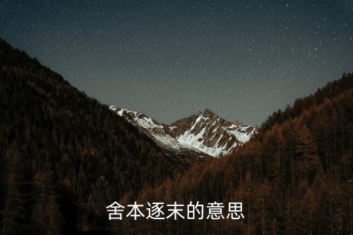 舍本逐末的意思