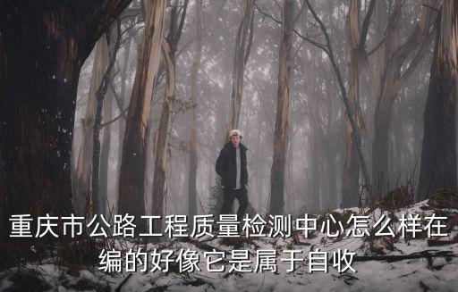 重慶市公路工程質(zhì)量檢測中心怎么樣在編的好像它是屬于自收