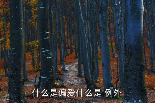 例外,我想成為你的例外和偏好