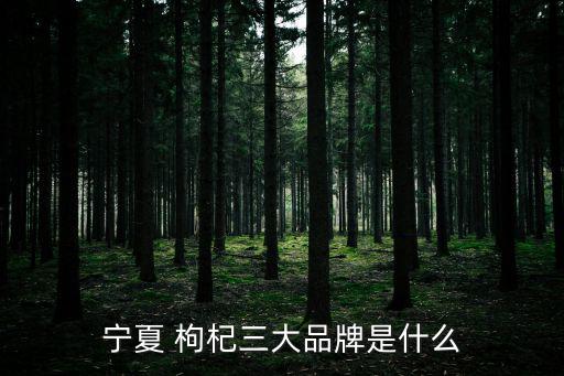 寧夏 枸杞三大品牌是什么