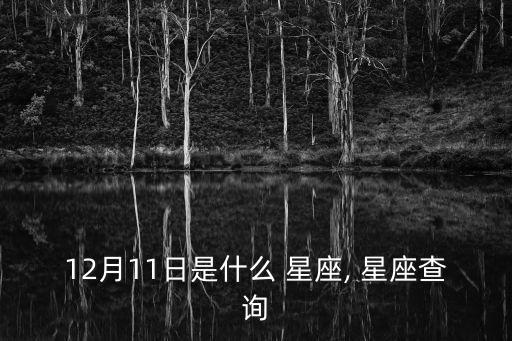 12月11日是什么星座,星期二特寫（十二）射手座