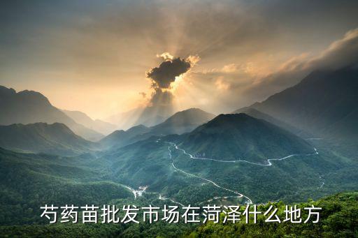 芍藥種苗,菏澤最大芍藥供應(yīng)基地供應(yīng)芍藥苗
