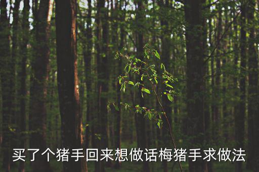 買了個豬手回來想做話梅豬手求做法