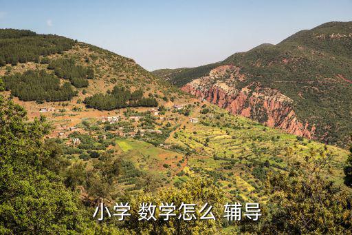  小學 數學怎么 輔導