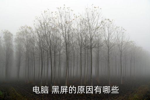  電腦 黑屏的原因有哪些