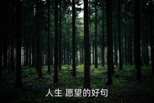 人生 愿望的好句