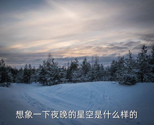 想象一下夜晚的星空是什么樣的