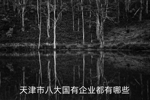 天津市津聯控股集王志勇簡歷，天津市八大國有企業都有哪些