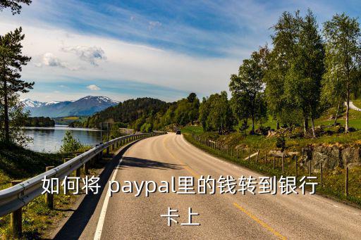 paypal轉賬,堅毅前進之路