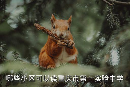 哪些小區可以讀重慶市第一實驗中學