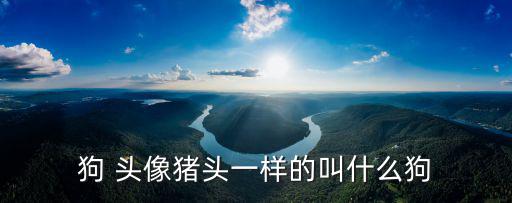 狗 頭像豬頭一樣的叫什么狗