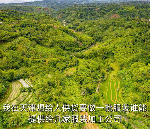 我在天津想給人供貨要做一批服裝誰能提供給幾家服裝加工公司