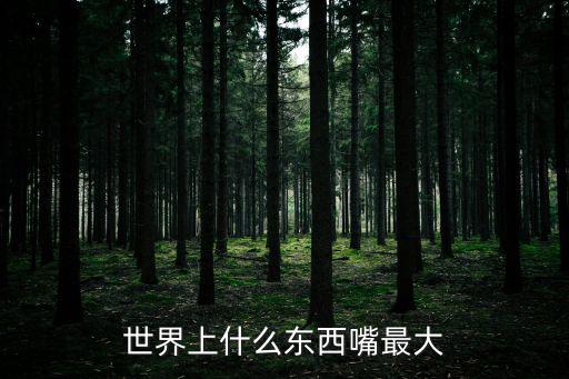 世界上什么東西嘴最大
