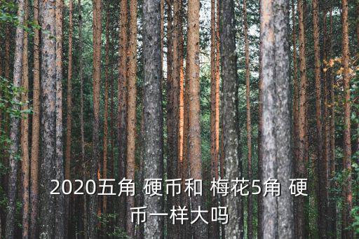 2020五角 硬幣和 梅花5角 硬幣一樣大嗎