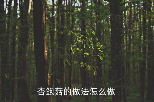杏鮑菇的做法怎么做
