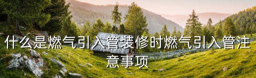 什么是燃?xì)庖牍苎b修時(shí)燃?xì)庖牍茏⒁馐马?xiàng)