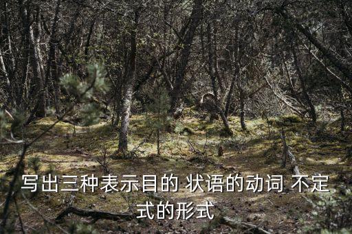 不定式做狀語,動詞不定式的用法